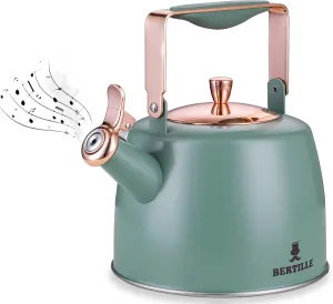 BERTILLE Teapot 2.5QT Whistle Exquisite Teapot for Stovetop, 18/8 Stainless Steel Stovetop Teapot, As the temperature rises, the color changes, with Silicone Folding Handle(Green)