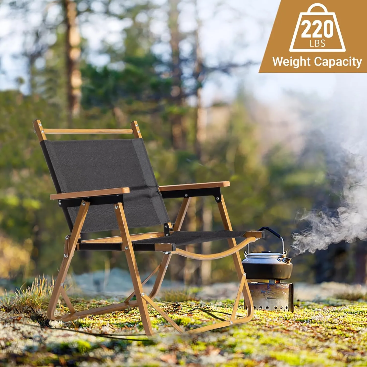 Camping Chairs for Adults,Portable Lightweight Patio Dining Chairs,Aluminum Frame and Imitation Wood Grain,Outdoor Foldable Beach Fishing Chair Lawn Chair,Support 220 Lbs,Black Medium