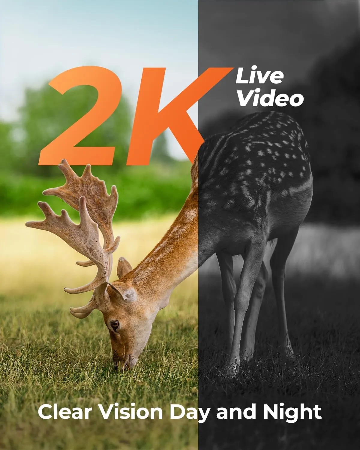 Cellular Trail Camera 2 Packs, Game Camera Built-in SIM Card 4G LTE with Night Vision Motion Activated Waterproof 2K Live View 0.2s Speed Trail Cam with Solar Panel
