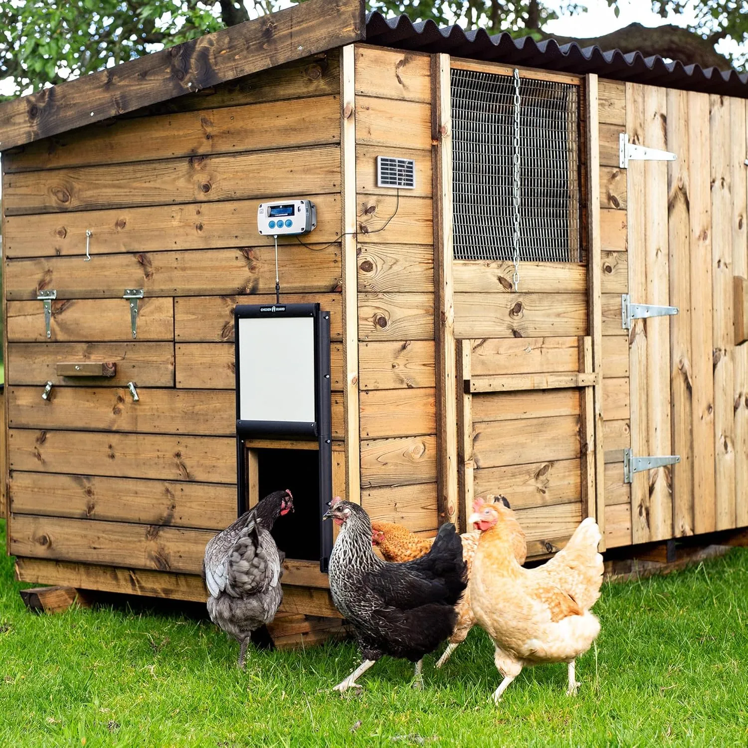 ChickenGuard Automatic Chicken Coop Door Opener, Power by Solar/Batteries/Electric. Strong Motor Lifts 2kg; Timer/Light Sensing; Motor Units only or Combination Kits (PRO   Door   Solar Kit)