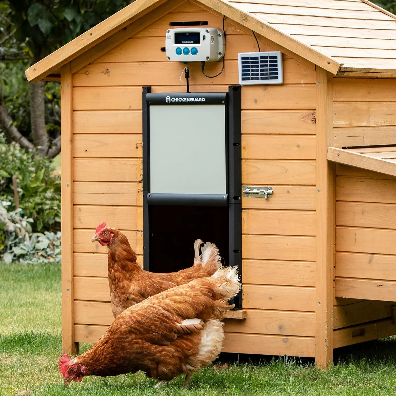 ChickenGuard Automatic Chicken Coop Door Opener, Power by Solar/Batteries/Electric. Strong Motor Lifts 2kg; Timer/Light Sensing; Motor Units only or Combination Kits (PRO   Door   Solar Kit)