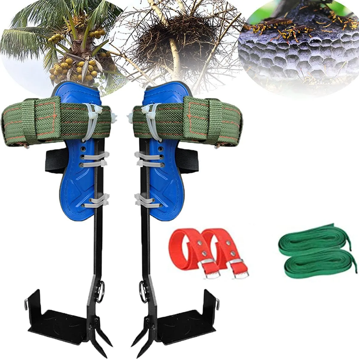 Climbing Tree Spikes Stainless with Safety Harness Belt for Rock Climbing, Hunting Observation, Picking Fruit, Indoor Climbing and Outdoor Sports,2claws