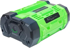 DTK Replacement for EGO 56V Battery BA1400 BA2800 BA4200, 56 Volt 2.6Ah Batteries Lighter Than 5AH (Easy to Carry, and not Tiring)