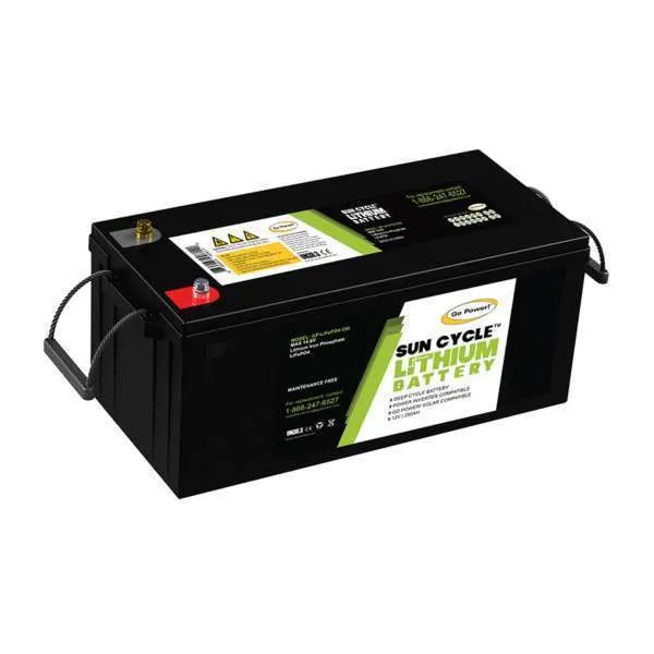 Go Power! 82738 GP-LIFEPO4-100 Lithium Iron Phosphate Solar Battery - 100Ah