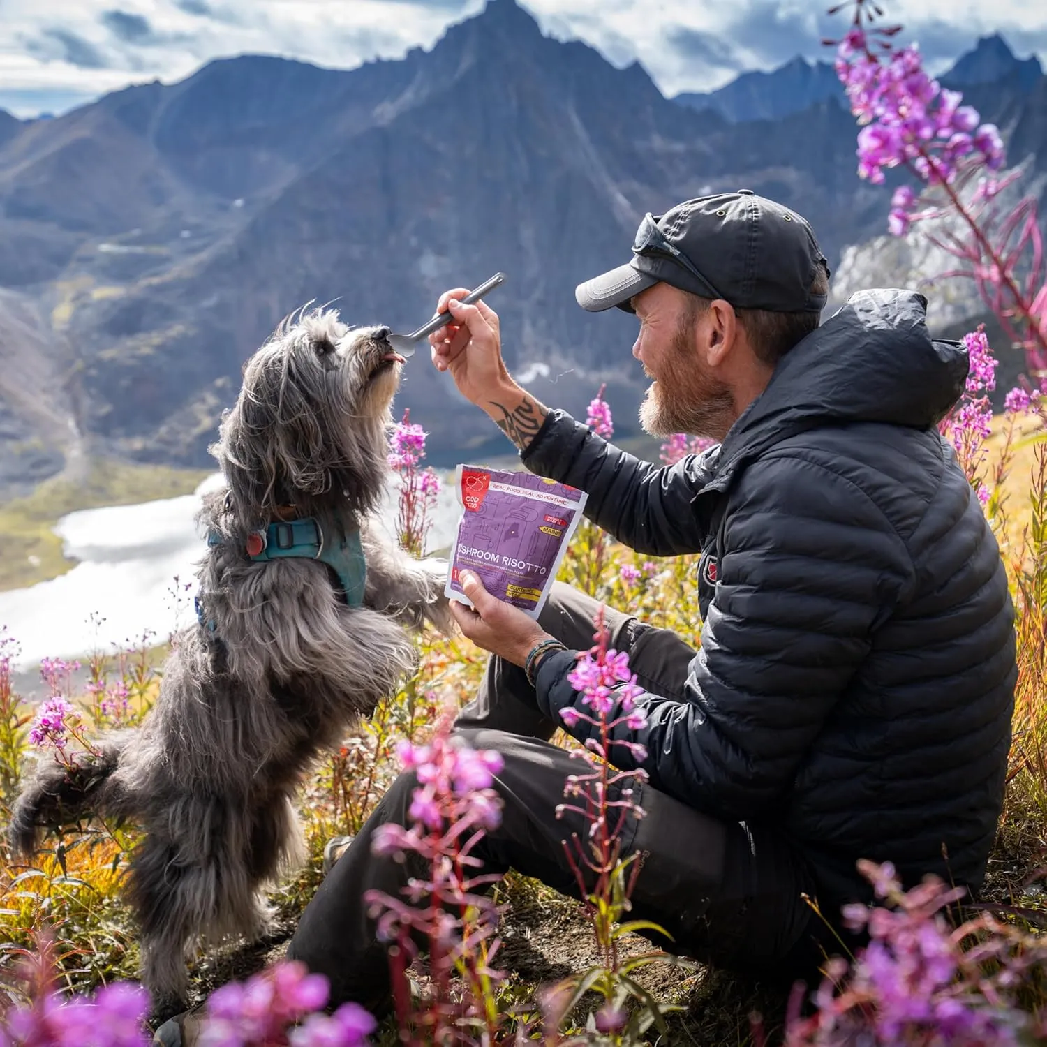 GOOD TO-GO Summit Food Kit | Camping & Backpacking Food | Just Add Water Backpacking Meals | Good To-Go Dehydrated Meals Taste Better Than Freeze Dried MRE