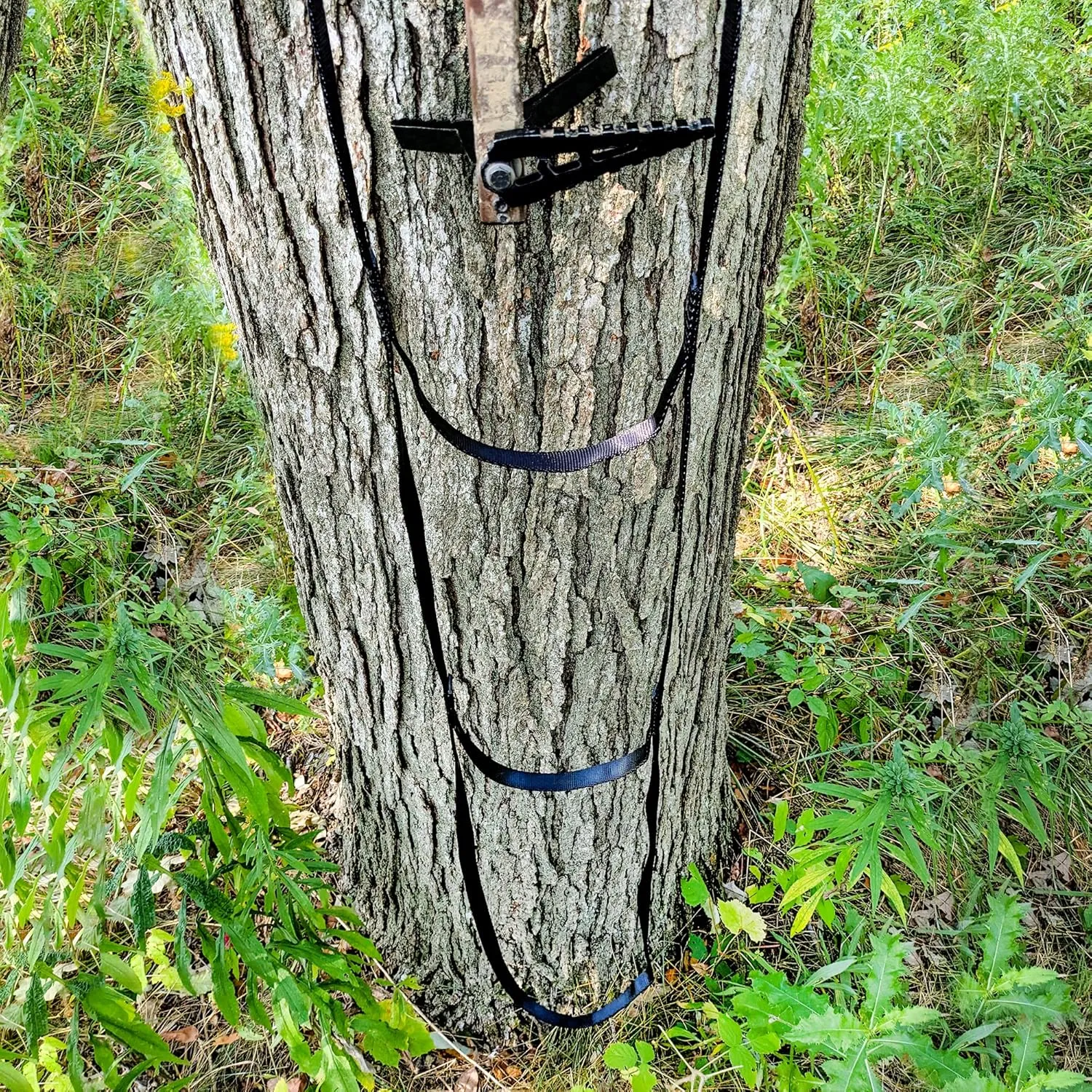 HANG N' BANG 3 Step Climbing Aider for Hunting