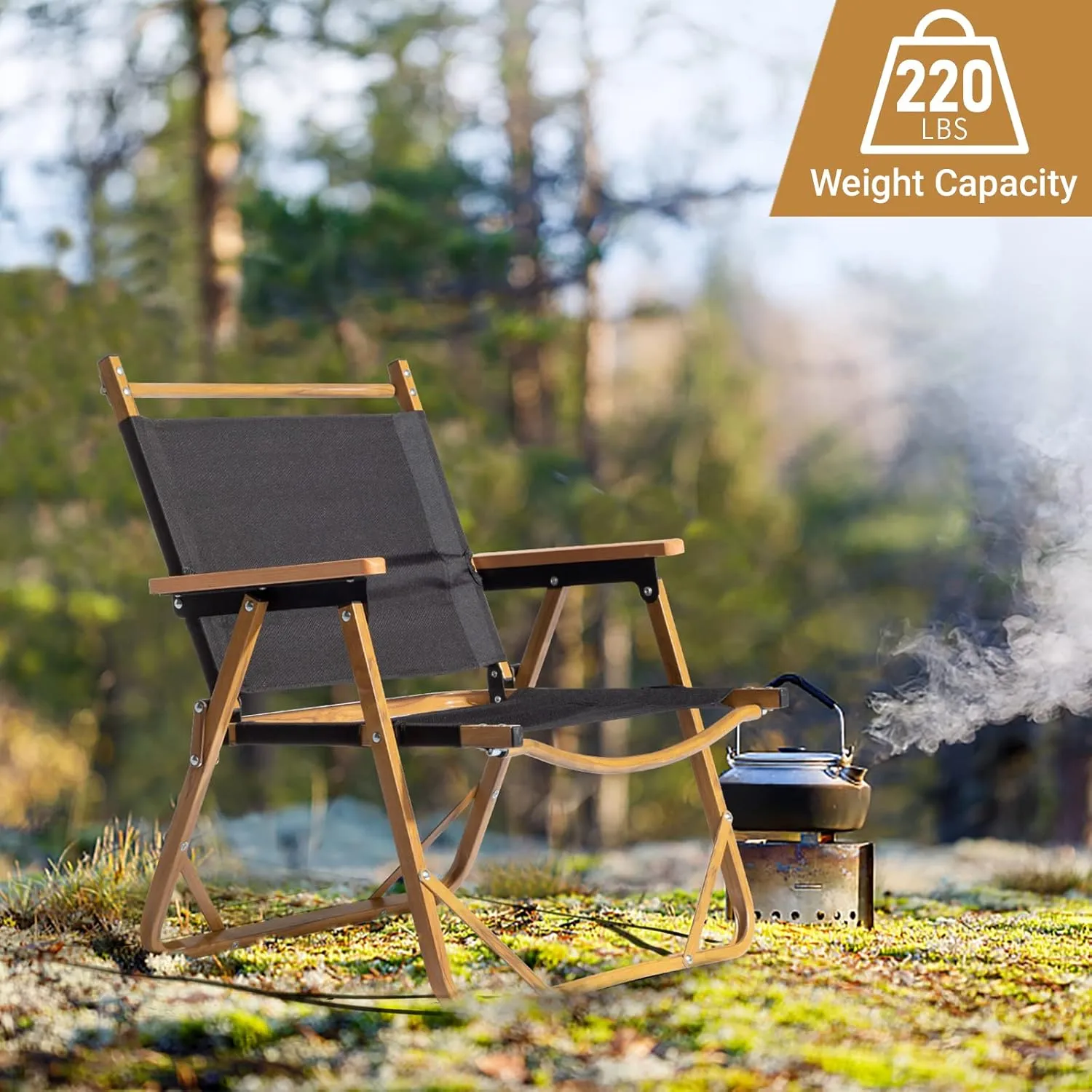 Lightweight Folding Camping Chair with Aluminum Frame and Durable 600D Polyester Fabric (Black, Small)