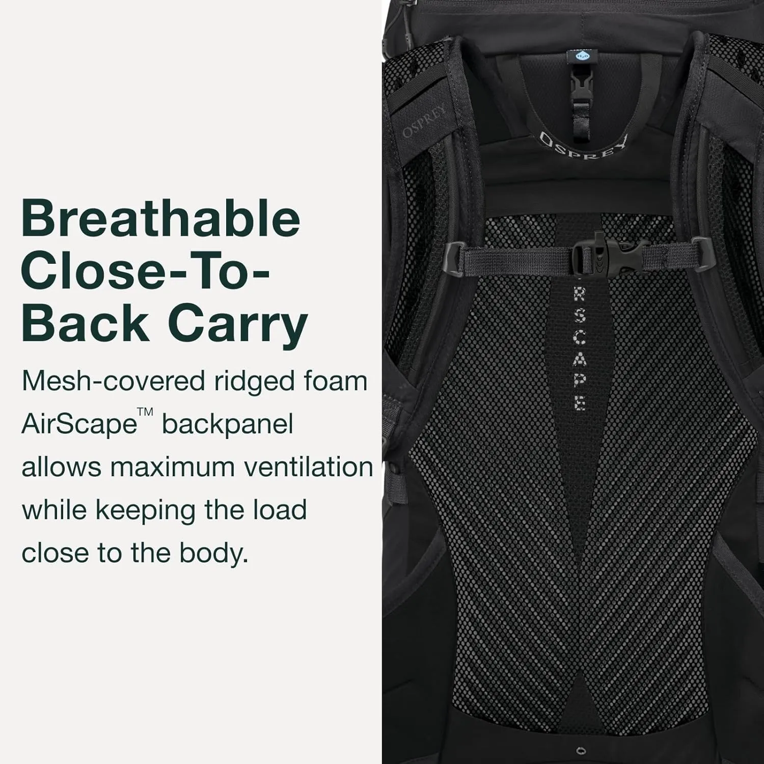 Osprey Sportlite 30L Unisex Lightweight Hiking Backpack, Tungsten/Grey Wolf, M/L