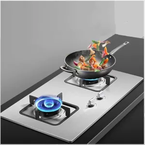 Outdoor 2 Burner Gas Stove - 4.2KW Stainless Steel Gas Cooker, Tabletop and Flush-mounted Gas Ranges, Durable Cooktop Camping(NG)