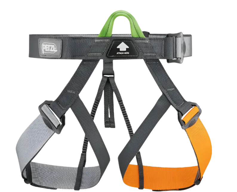Petzl GYM Standard Harness