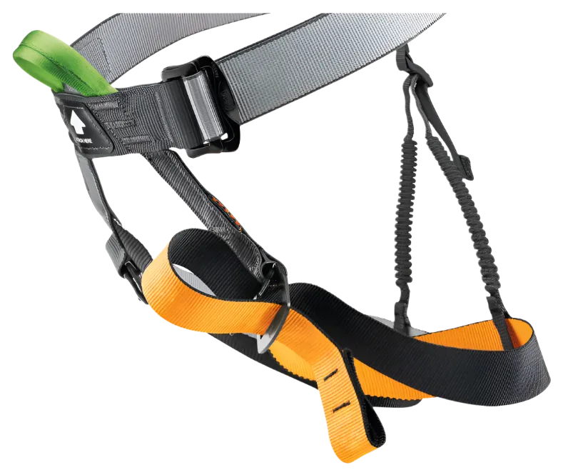 Petzl GYM Standard Harness
