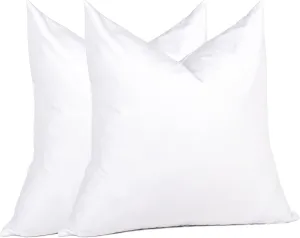 puredown® Natural Feather Down Throw Pillow Inserts 20 x 20 (Set of 2, White), Décor Pillow for Couch, Chairs, Office, Apartments