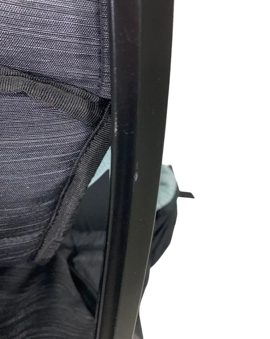 Thule Sapling Child Carrier, Black