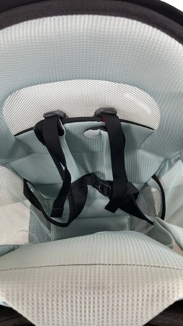 Thule Sapling Child Carrier, Black