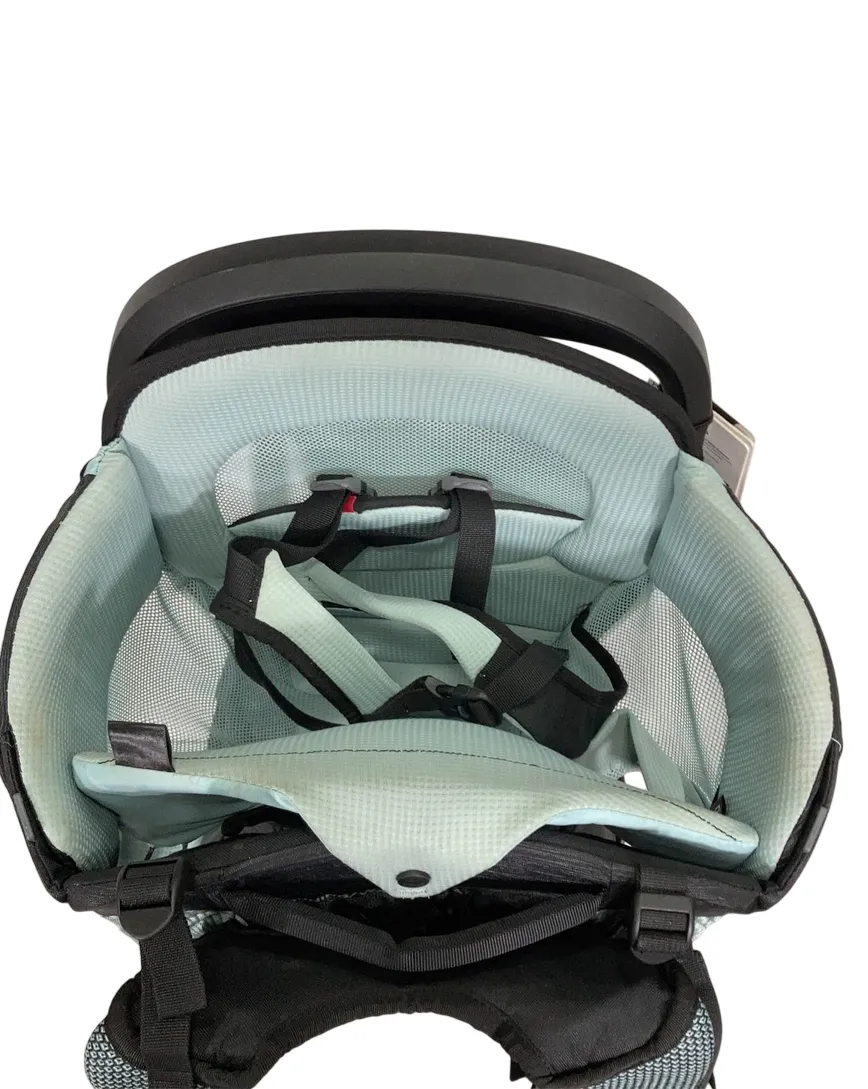 Thule Sapling Child Carrier, Black