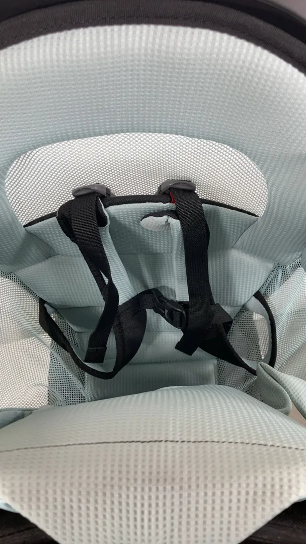 Thule Sapling Child Carrier, Black