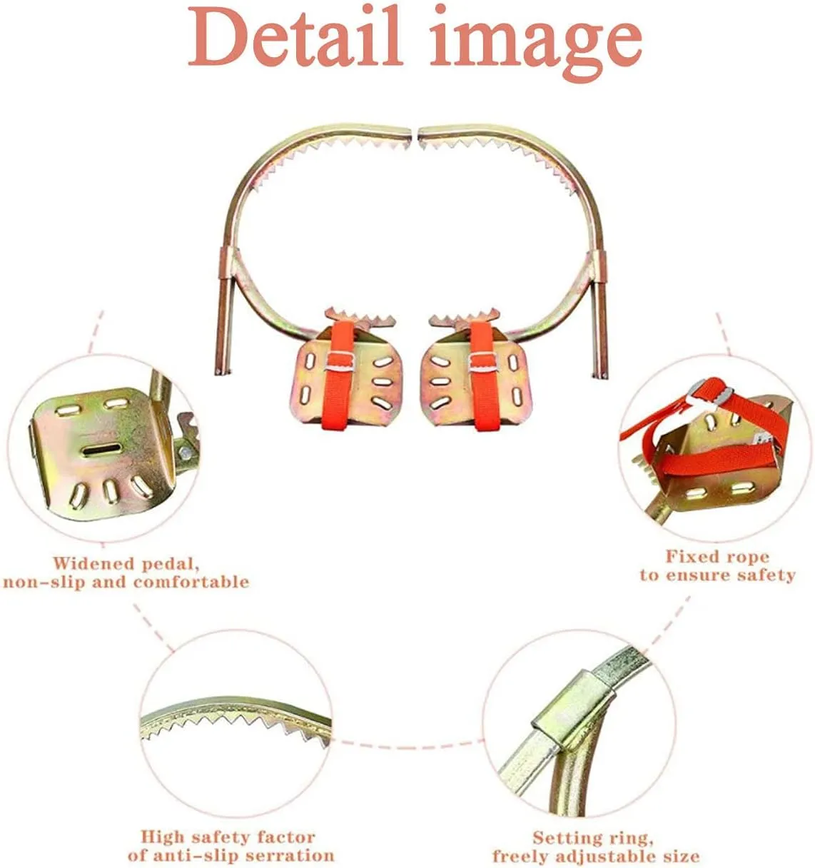 Tree Climbing Gear, Non-Slip Pole Climbing Spikes With Safety Harness, Electrician'S Foot Buckle, Tree Climbing Gear For Tree Work, Rust Protection, Wear-Resistant, Easy To Pick Fruits,250Model