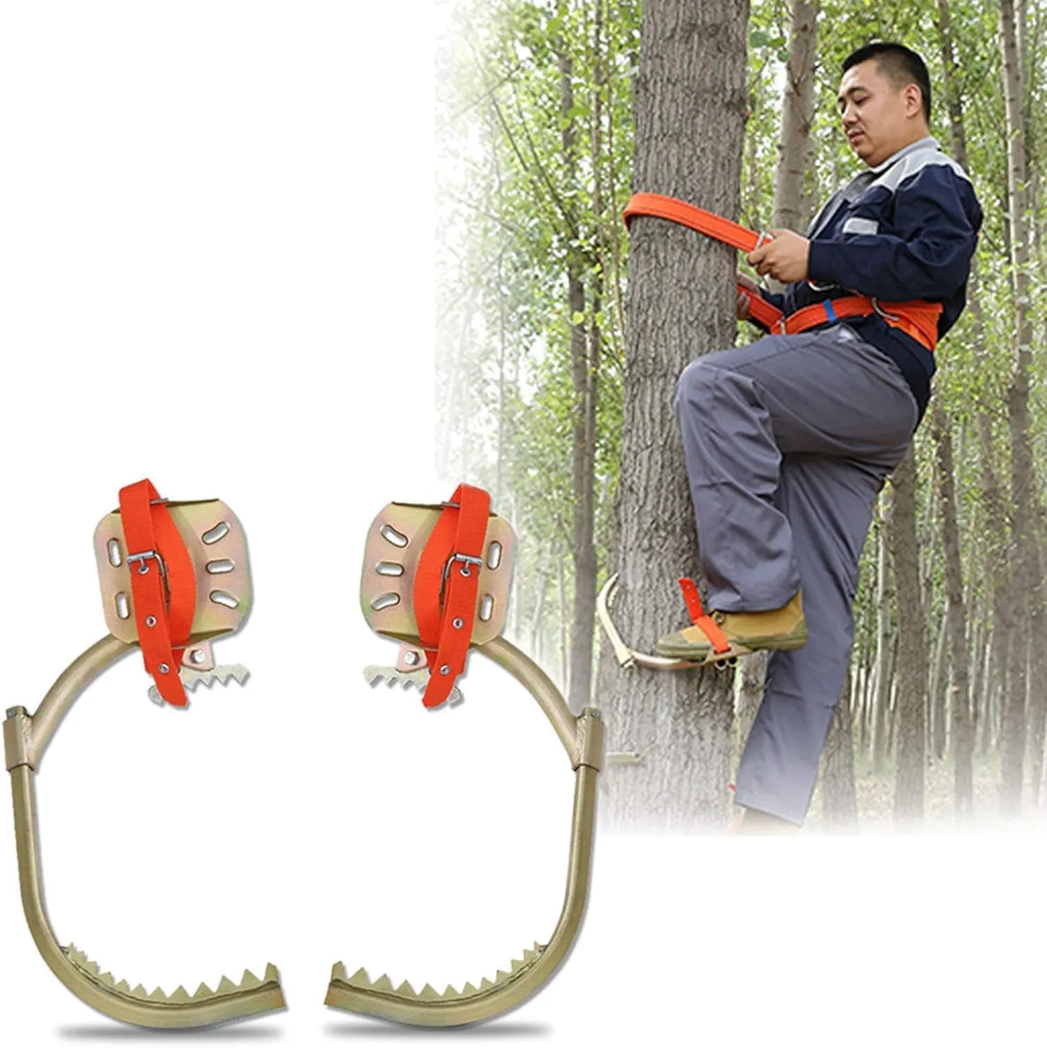 Tree Climbing Spike Set, Tree Care Spikes with Safety Belt, Climbing Trees Artifact Climbing Aid Tool Set Forest Crampons Tree Crampons, Tree Climbing, Climbing Trees Artifact for Observation Huntin