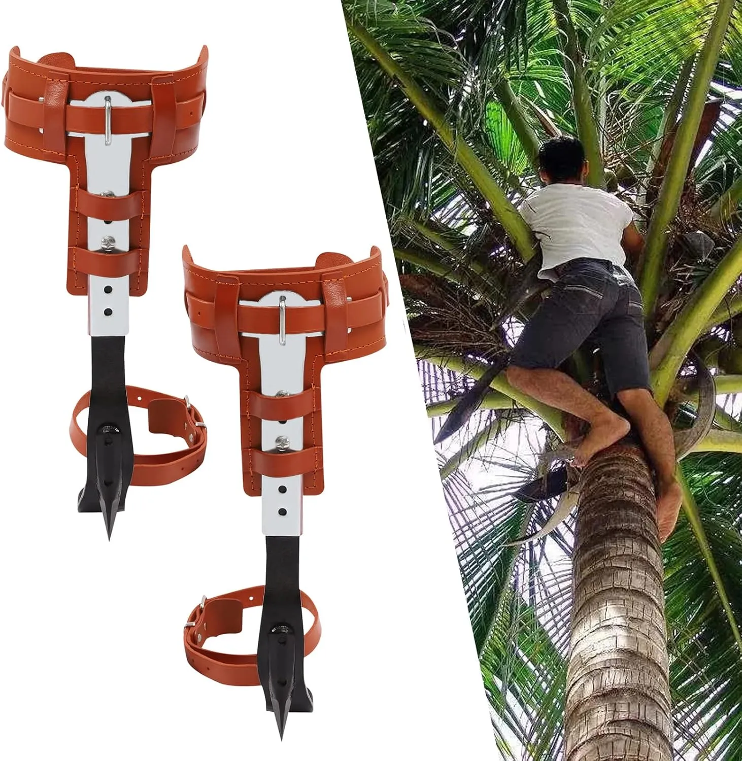 Tree Climbing Spikes, Tree Climbing Gear with Adjustable Climbing Belt and Upgrade Rope,Tree Climbing Kit for Sports