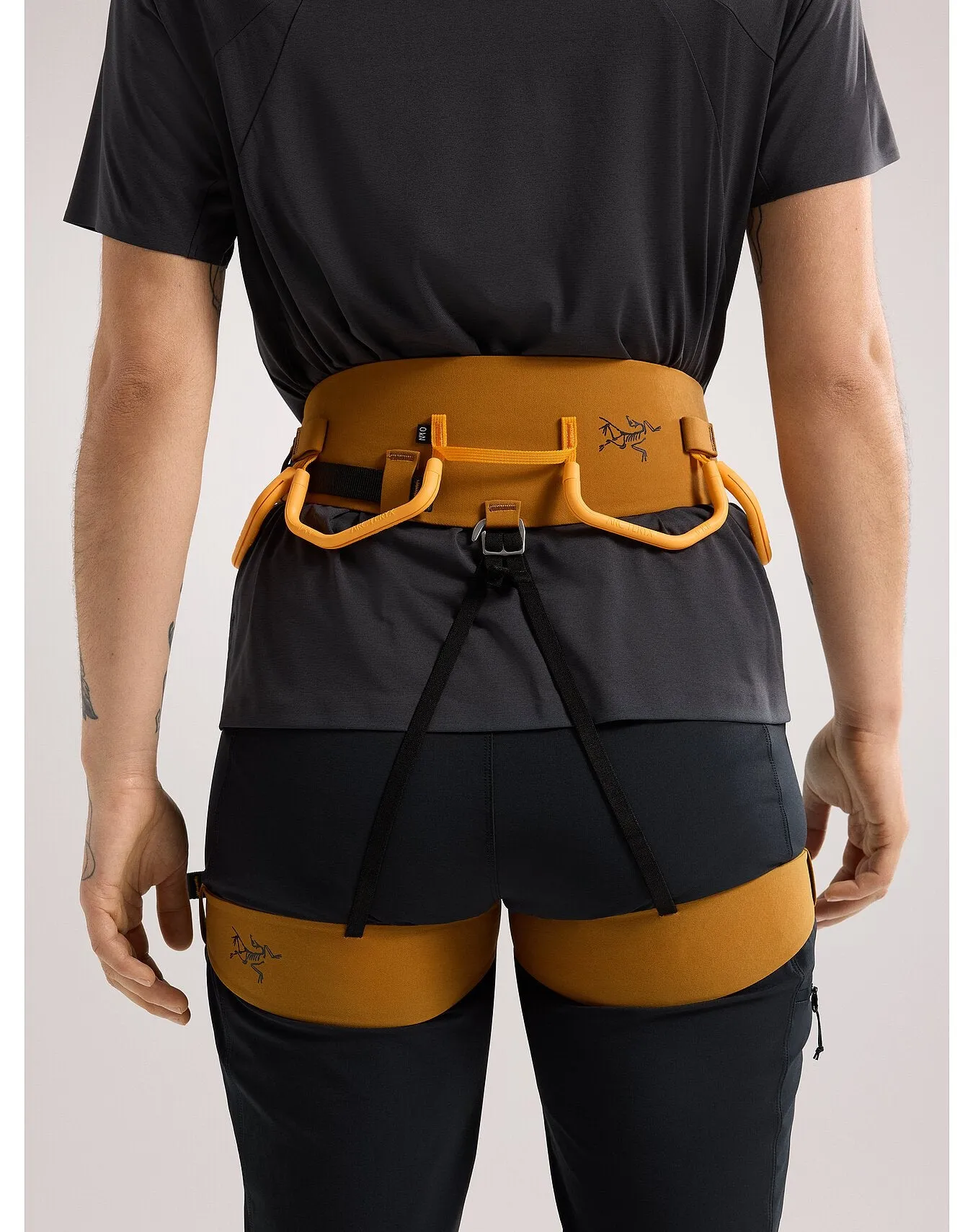 Women's AR-385A Harness